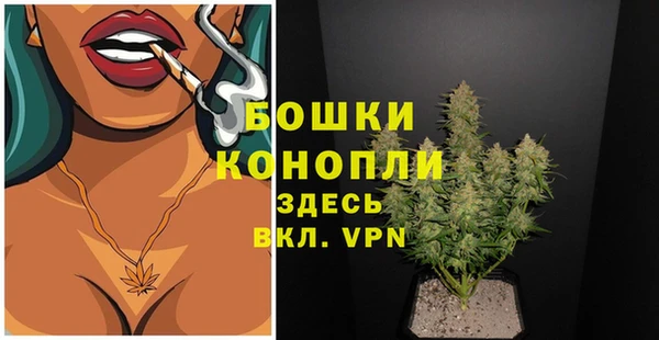 PSILOCYBIN Богородск