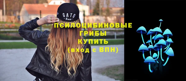 МДПВ Богородицк