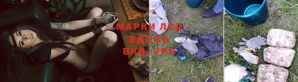 PSILOCYBIN Богородск