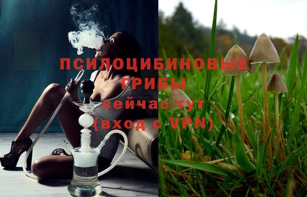 МДПВ Богородицк