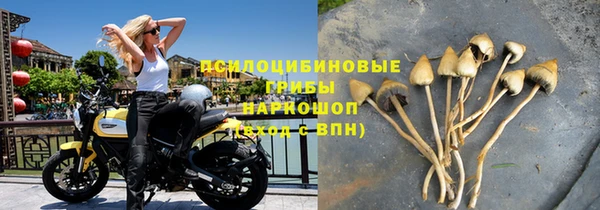 МДПВ Богородицк